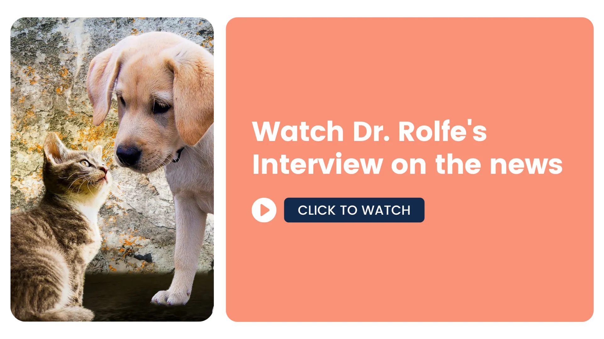 Watch Dr. Rolfe's Interview on the news: Click to Watch